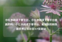 小红书阅读下单平台,小红书阅读下单平台是真的吗,小红书阅读下单平台,解锁你的购物新世界亿乐社区SUP货源站