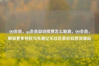 QQ会员,qq会员自动续费怎么取消,QQ会员,解锁更多特权与乐趣亿乐社区低价自营货源站