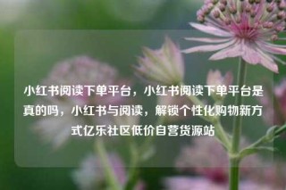 小红书阅读下单平台,小红书阅读下单平台是真的吗,小红书与阅读,解锁个性化购物新方式亿乐社区低价自营货源站