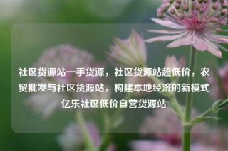 社区货源站一手货源,社区货源站超低价,农贸批发与社区货源站,构建本地经济的新模式亿乐社区低价自营货源站