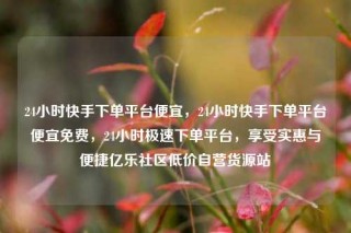 24小时快手下单平台便宜,24小时快手下单平台便宜免费,24小时极速下单平台,享受实惠与便捷亿乐社区低价自营货源站
