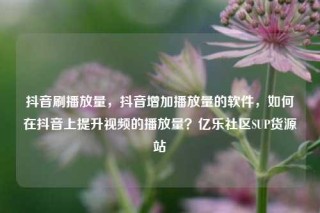 抖音刷播放量,抖音增加播放量的软件,如何在抖音上提升视频的播放量?亿乐社区SUP货源站
