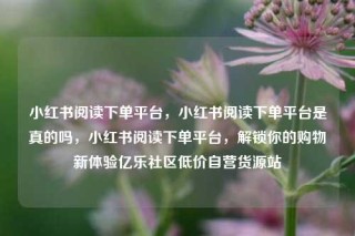 小红书阅读下单平台，小红书阅读下单平台是真的吗，小红书阅读下单平台，解锁你的购物新体验亿乐社区低价自营货源站