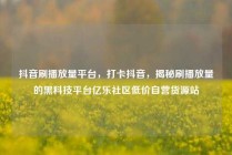 抖音刷播放量平台，打卡抖音，揭秘刷播放量的黑科技平台亿乐社区低价自营货源站