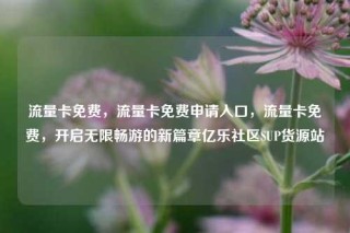 流量卡免费,流量卡免费申请入口,流量卡免费,开启无限畅游的新篇章亿乐社区SUP货源站