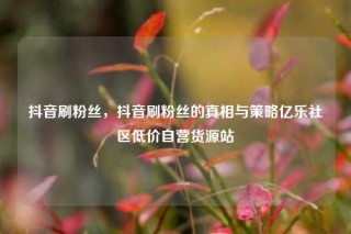 抖音刷粉丝,抖音刷粉丝的真相与策略亿乐社区低价自营货源站
