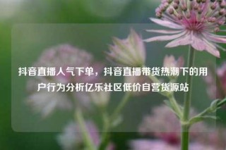 抖音直播人气下单，抖音直播带货热潮下的用户行为分析亿乐社区低价自营货源站