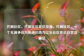 代刷社区,代刷社区低价货源,代刷社区,一个充满争议与机遇的地方亿乐社区低价自营货源站