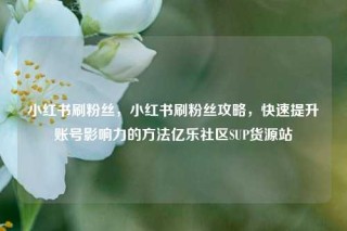 小红书刷粉丝，小红书刷粉丝攻略，快速提升账号影响力的方法亿乐社区SUP货源站