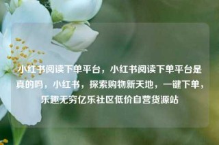 小红书阅读下单平台,小红书阅读下单平台是真的吗,小红书,探索购物新天地,一键下单,乐趣无穷亿乐社区低价自营货源站