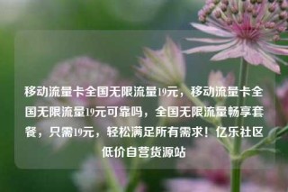 移动流量卡全国无限流量19元，移动流量卡全国无限流量19元可靠吗，全国无限流量畅享套餐，只需19元，轻松满足所有需求！亿乐社区低价自营货源站