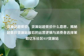 货源站超低价,货源站超低价什么意思,揭秘超低价货源站背后的运营逻辑与消费者选择策略亿乐社区SUP货源站