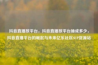 抖音直播放平台,抖音直播放平台抽成多少,抖音直播平台的崛起与未来亿乐社区SUP货源站