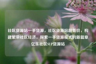 社区货源站一手货源,社区货源站超低价,构建繁荣社区经济,探索一手货源模式的新篇章亿乐社区SUP货源站