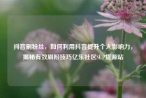 抖音刷粉丝,如何利用抖音提升个人影响力,揭秘有效刷粉技巧亿乐社区SUP货源站