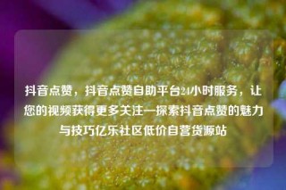 抖音点赞,抖音点赞自助平台24小时服务,让您的视频获得更多关注—探索抖音点赞的魅力与技巧亿乐社区低价自营货源站