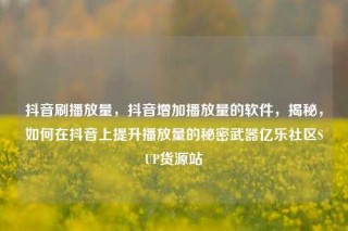 抖音刷播放量,抖音增加播放量的软件,揭秘,如何在抖音上提升播放量的秘密武器亿乐社区SUP货源站