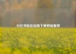 小红书粉丝自助下单网站推荐