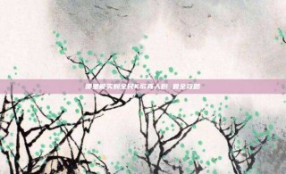 哪里能买到全民K歌真人粉 最全攻略