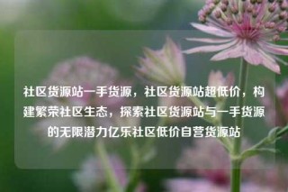 社区货源站一手货源,社区货源站超低价,构建繁荣社区生态,探索社区货源站与一手货源的无限潜力亿乐社区低价自营货源站