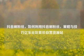 抖音刷粉丝,如何利用抖音刷粉丝,策略与技巧亿乐社区低价自营货源站
