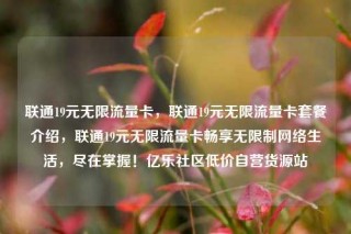 联通19元无限流量卡,联通19元无限流量卡套餐介绍,联通19元无限流量卡畅享无限制网络生活,尽在掌握!亿乐社区低价自营货源站