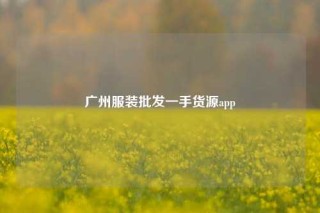广州服装批发一手货源app