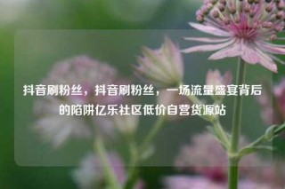 抖音刷粉丝，抖音刷粉丝，一场流量盛宴背后的陷阱亿乐社区低价自营货源站