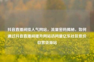 抖音直播间挂人气网站,流量密码揭秘,如何通过抖音直播间提升网站访问量亿乐社区低价自营货源站