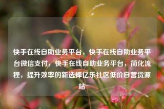 快手在线自助业务平台，快手在线自助业务平台微信支付，快手在线自助业务平台，简化流程，提升效率的新选择亿乐社区低价自营货源站