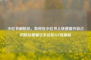 小红书刷粉丝，如何在小红书上快速提升自己的粉丝数量亿乐社区SUP货源站