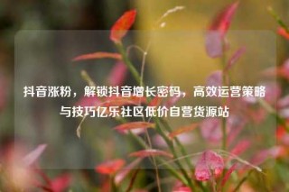 抖音涨粉,解锁抖音增长密码,高效运营策略与技巧亿乐社区低价自营货源站