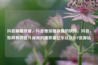 抖音刷播放量,抖音增加播放量的软件,抖音,如何有效提升视频的播放量亿乐社区SUP货源站
