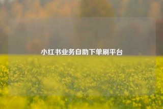 小红书业务自助下单刷平台