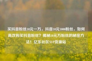 买抖音粉丝10元一万,抖音10元1000粉丝,如何高效购买抖音粉丝?揭秘10元万粉丝的秘密方法!亿乐社区SUP货源站
