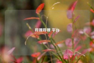 哔哩哔哩 平台