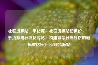 社区货源站一手货源,社区货源站超低价,一手货源与社区货源站,构建繁荣社区经济的新模式亿乐社区SUP货源站