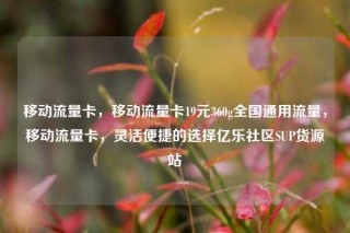 移动流量卡,移动流量卡19元360g全国通用流量,移动流量卡,灵活便捷的选择亿乐社区SUP货源站