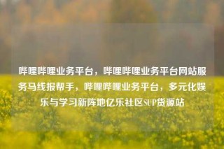 哔哩哔哩业务平台,哔哩哔哩业务平台网站服务马线报帮手,哔哩哔哩业务平台,多元化娱乐与学习新阵地亿乐社区SUP货源站