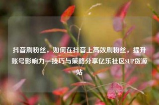 抖音刷粉丝,如何在抖音上高效刷粉丝,提升账号影响力—技巧与策略分享亿乐社区SUP货源站