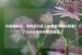 抖音刷粉丝,如何在抖音上快速提升粉丝数量?亿乐社区低价自营货源站