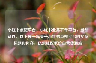小红书点赞平台,小红书业务下单平台,当然可以。以下是一篇关于小红书点赞平台的文章标题和内容,亿乐社区低价自营货源站
