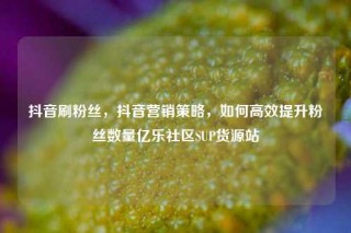 抖音刷粉丝,抖音营销策略,如何高效提升粉丝数量亿乐社区SUP货源站