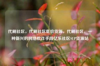 代刷社区,代刷社区低价货源,代刷社区,一种新兴的网络欺诈手段亿乐社区SUP货源站