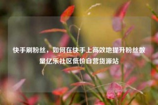 快手刷粉丝,如何在快手上高效地提升粉丝数量亿乐社区低价自营货源站