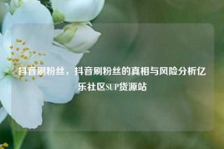 抖音刷粉丝，抖音刷粉丝的真相与风险分析亿乐社区SUP货源站