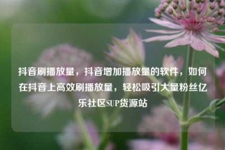 抖音刷播放量,抖音增加播放量的软件,如何在抖音上高效刷播放量,轻松吸引大量粉丝亿乐社区SUP货源站