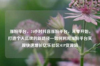 涨粉平台,24小时抖音涨粉平台,从零开始,打造个人品牌的新路径—如何利用涨粉平台实现快速增长亿乐社区SUP货源站