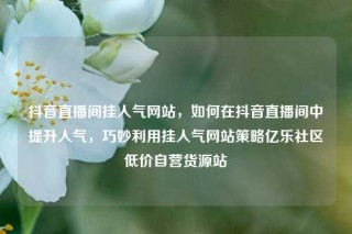 抖音直播间挂人气网站,如何在抖音直播间中提升人气,巧妙利用挂人气网站策略亿乐社区低价自营货源站