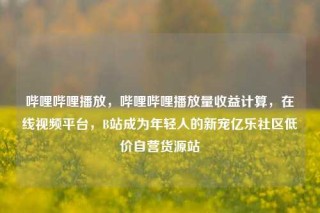 哔哩哔哩播放,哔哩哔哩播放量收益计算,在线视频平台,B站成为年轻人的新宠亿乐社区低价自营货源站